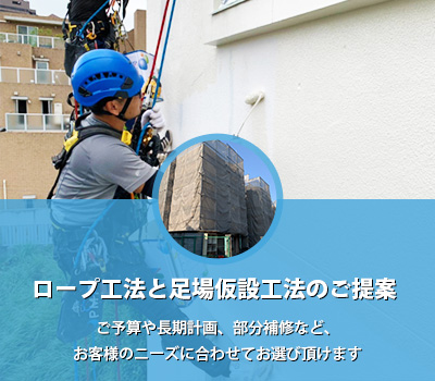 明誠の特徴