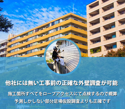 明誠の特徴