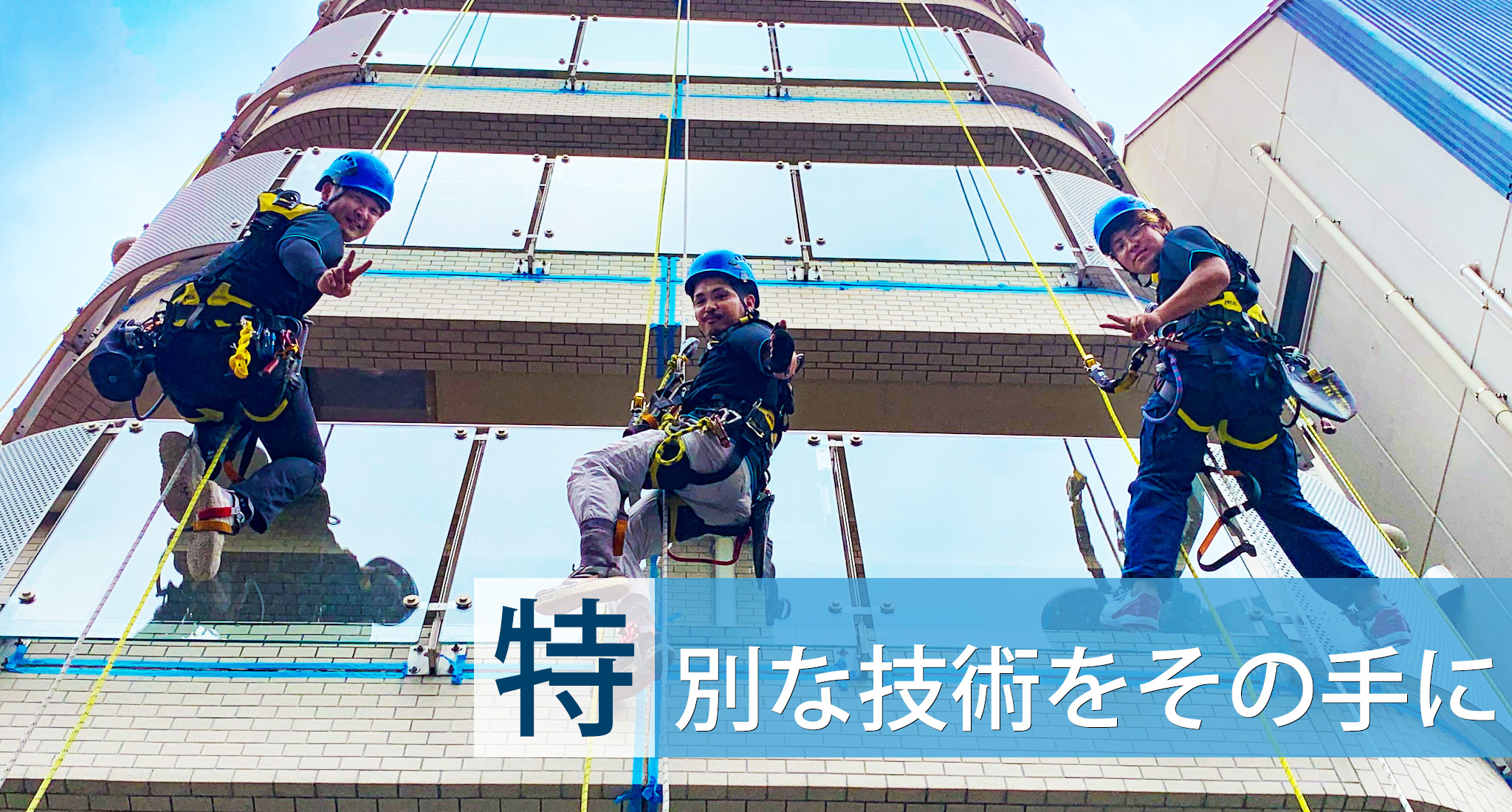 求人情報