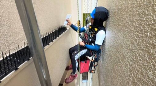 東京都新宿区 無足場工法ロープアクセス鳥害対策工事